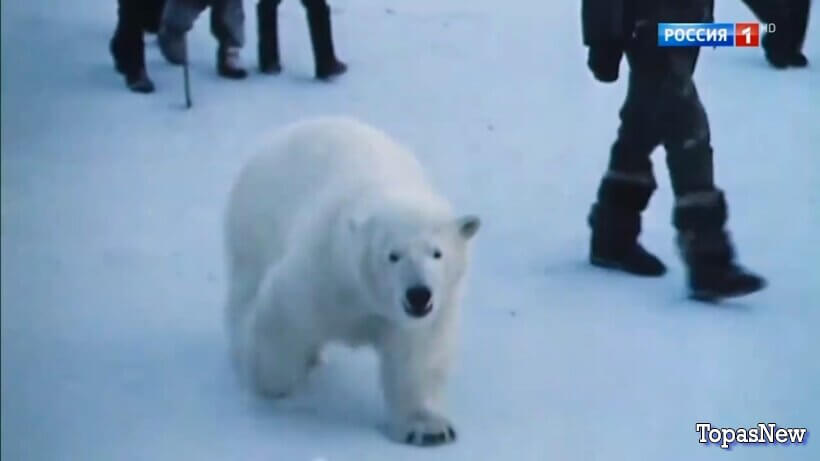 Песни от всей-души 15 03 26 смотреть онлайн все выпуски