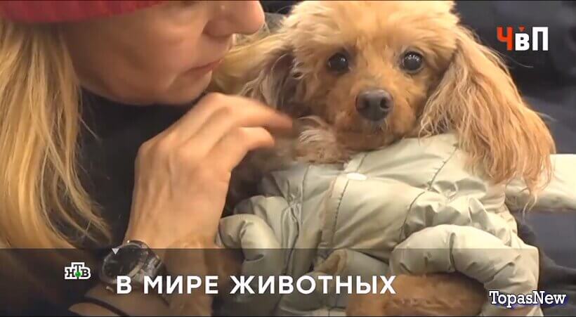 Человек в праве с Андреем Куницыным