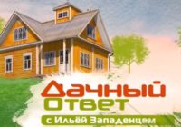 Дачный ответ от 2.11.2025 смотреть онлайн все выпуски