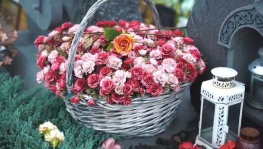 Они потрясли мир Александр Барыкин 14.11.2025 выпуск от 14.11.2025 смотреть онлайн