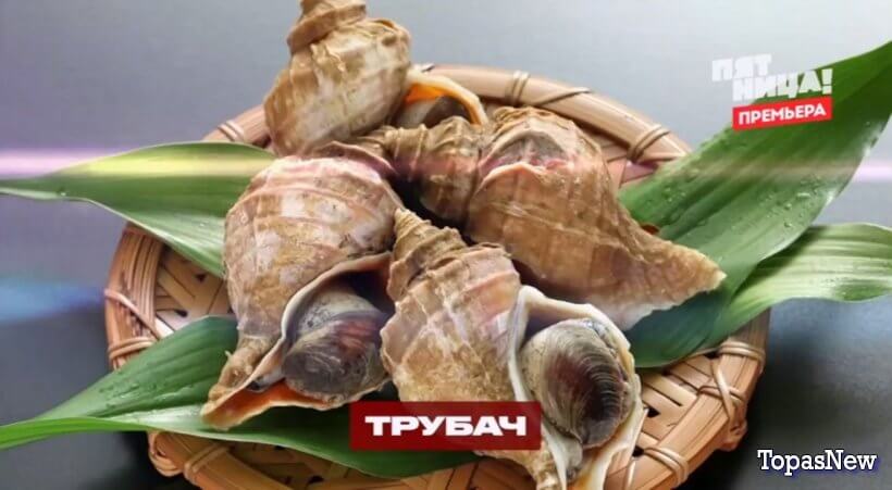Черный список на кухне 22 серия 17.09.25 выпуск от 17.09.2025 смотреть онлайн