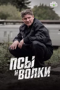 Псы и волки (Сериал 2026) смотреть онлайн все выпуски