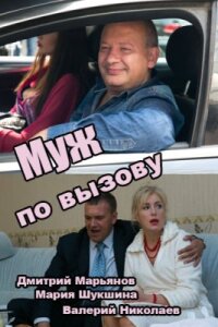 Муж по вызову (Фильм 2015)